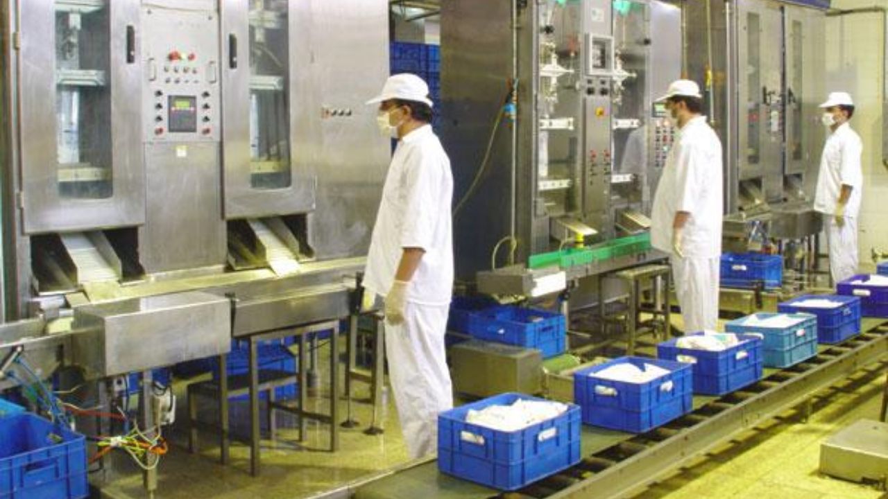 فرصت‌های شغلی فعال در سولیکو کاله | 4 شهریور 1404