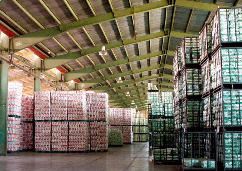 آخرین آگهی های استخدام در شرکت پخش سراسری باراکا | 26 مرداد 1404