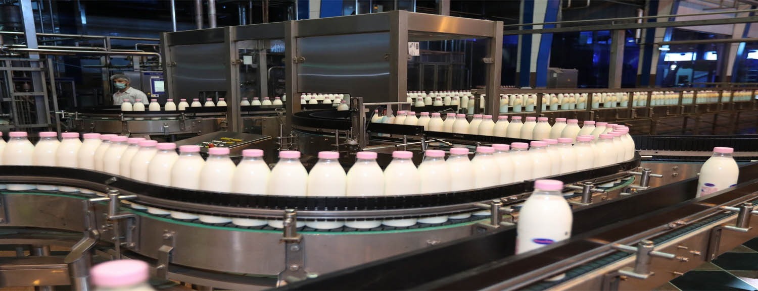 فرصت های جدید استخدام در لبنیات و بستنی دومینو | 3 شهریور 1404