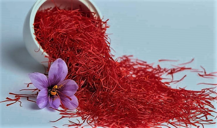 آخرین آگهی های استخدام در زعفران سحرخیز | 11 شهریور 1404