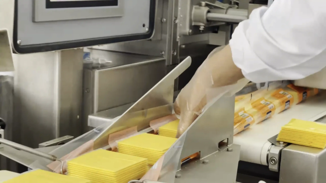 جدیدترین فرصت های استخدام در کالین | تابستان 1404