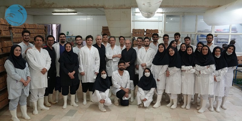 جدیدترین موقعیت‌های شغلی شرکت سپیدماکیان | ۹ آذر ۱۴۰۴