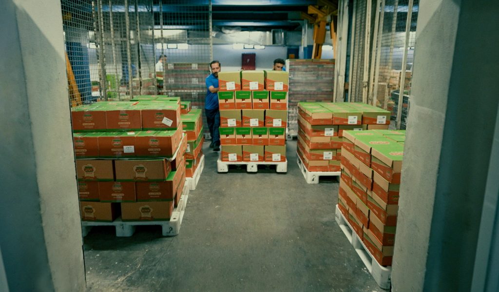 جدیدترین موقعیت‌های شغلی شرکت پخش پگاه | ۱۰ آذر ۱۴۰۴