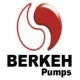 شرکت پمپ برکه