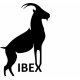 آیبکس