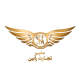 سفیرتجارت رابین
