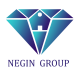 گروه املاک نگین
