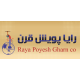 شرکت رایا پویش قرن