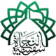 موسسه سفینة النجاة