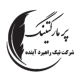نیک راهبرد آینده