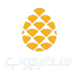 مبلمان سدار چوب خاکسار