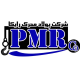 پولاد محرک رایکا