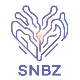 سورنا نگر برتر زرین