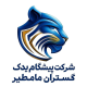 پیشگام یدک گستران مامطیر