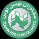 مشاوران توسن توس