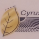 موسسه پزشکی و توانبخشی کوروش طب