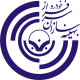 بهینه سازان سرافراز خودرو