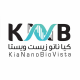 کیا نانو زیست ویستا
